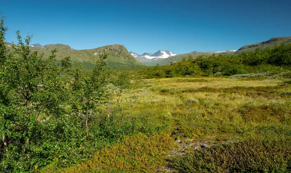 Glacier covered mountain on the far horizon in the green Arctic landscape of Sarek National Park, Sweden. Beautiful day of arctic summer in Swedish Lapland. Hiking in Laponia. Far north