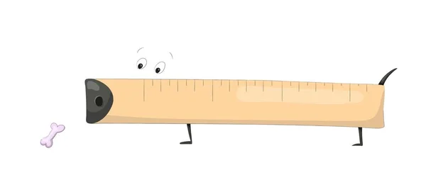 Cartoon yardstick or ruler — Stock Vector