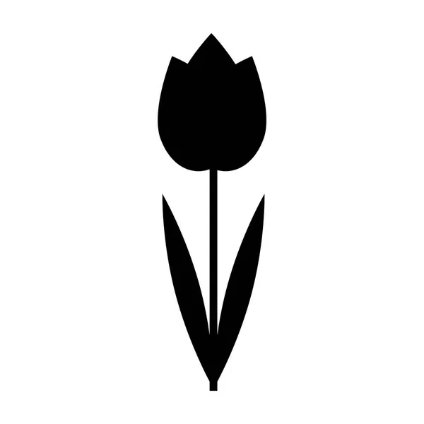 Siluet Hitam Bunga Tulip Diisolasi Pada Vektor Latar Belakang Putih - Stok Vektor
