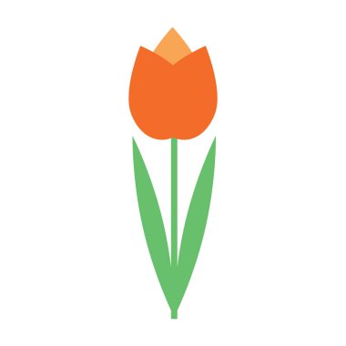 Colorful orange tulip flower isolated on white background vector illustration. Spring garden flowers. Greetings card. Summer print design element. Floral shop logo. Flat style. Elegant pastel colors.