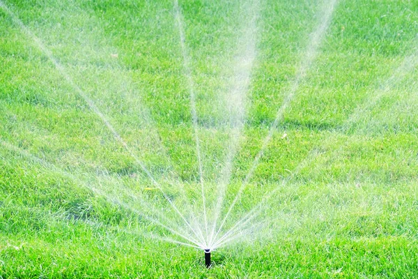 Automatic water lawn sprinkler spraying water jets on bright green grass with water jets on spring or summer day close up outdoors photo. Watering and irrigation equipment system.Care and maintenance.