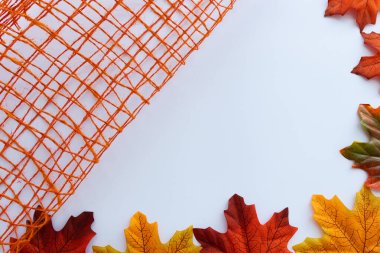 Akçaağaç yapraklarından sonbahar çerçevesi turuncu dekoratif ağ ile.