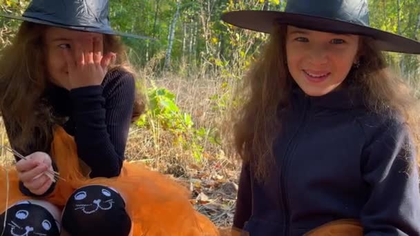 Meninas gêmeas vestidas como bruxas estão sentadas em um parque e rindo. Fecha a porta. 4K — Vídeo de Stock