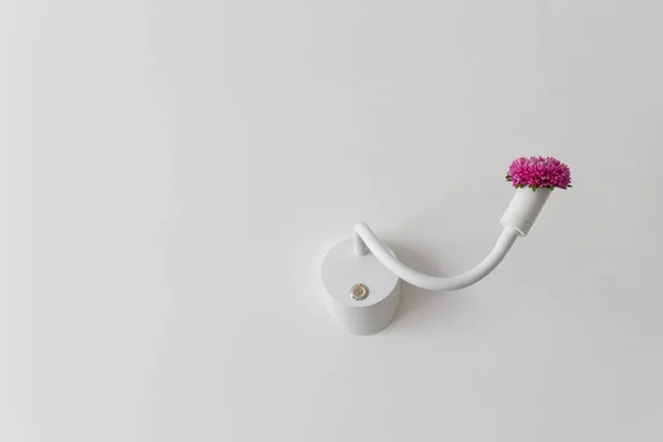 Biała lampa na ścianie z kwiatem zamiast żarówki. Lampa z kwiatem. — Zdjęcie stockowe