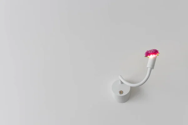 Bílá lampa na stěně s květinou místo žárovky. Lampa s květinou. — Stock fotografie