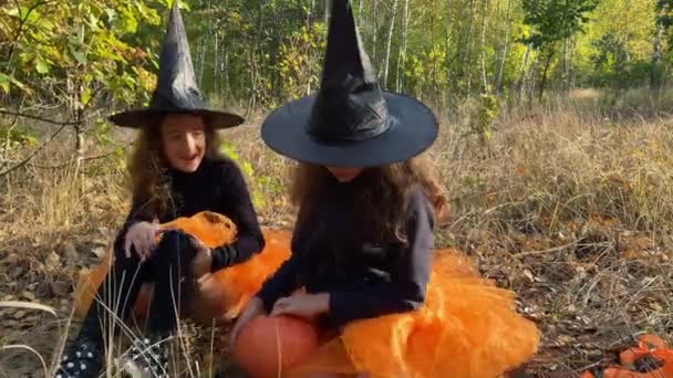 Δίδυμες κοπέλες ντυμένες σαν μάγισσες κάθονται σε ένα δάσος με κολοκύθα στα χέρια. — Αρχείο Βίντεο