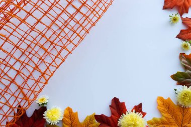 Sonbahar akçaağaç yaprakları ve portakal desenli ağlarla süslenmiş çiçekler..