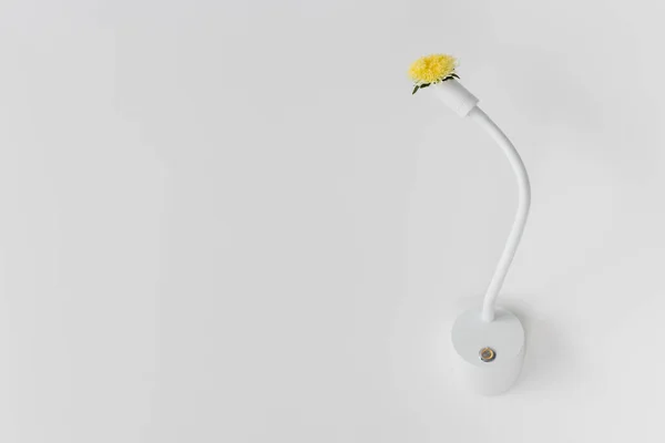 Biała lampa na ścianie z żółtym kwiatem zamiast żarówki. Lampa z kwiatem. — Zdjęcie stockowe
