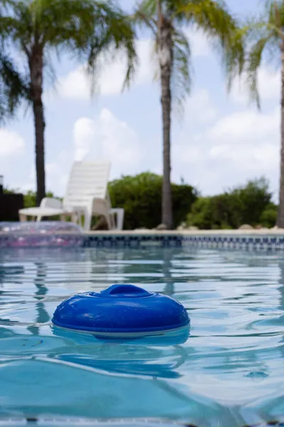 Dispensador de cloro plástico azul flotando en la superficie de una piscina rodeada de palmeras. —  Fotos de Stock