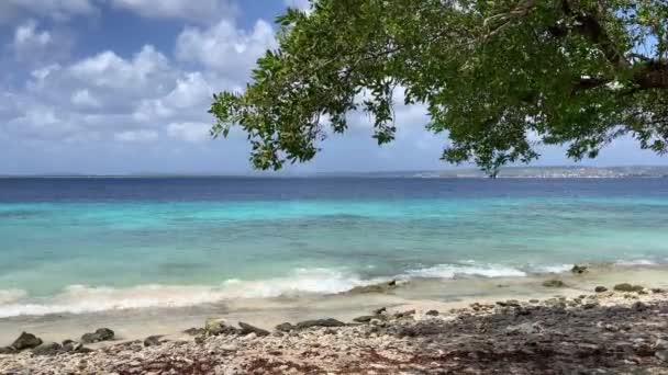 Playa de arena con agua de mar turquesa. Vista a través de la rama del árbol, nadie, destinos de viaje — Vídeo de stock
