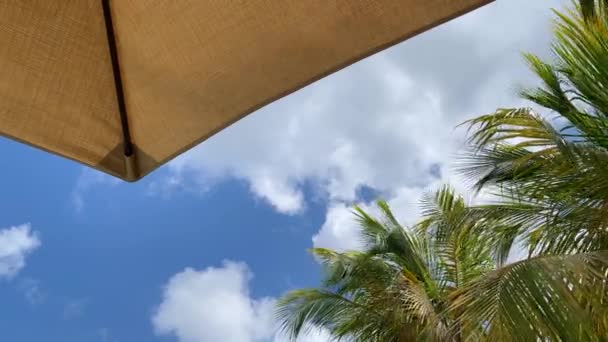 Der Blick unter dem Sonnenschirm auf den blauen Himmel und die Palmen. — Stockvideo