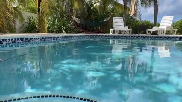 Schwimmbad umgeben von Palmen. Private Villa mit Loungebereich in der Nähe des Swimmingpools. — Stockvideo