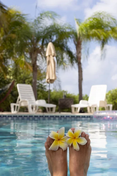 在游泳池附近被棕榈树环绕的雌性脚和水仙花。有选择的重点，模糊的背景. — 图库照片