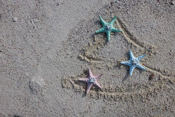 Різдвяна ялинка намальована піском на пляжі з різнокольоровими морськими зірками. Концепція свята . — стокове фото
