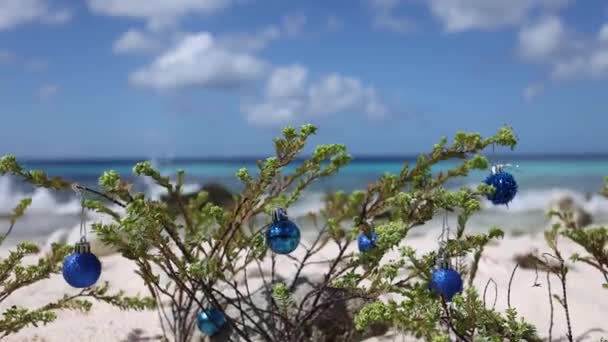 Evergreen rostlina na pláži zdobené vánoční míčky. Koncept vánočních prázdnin. — Stock video