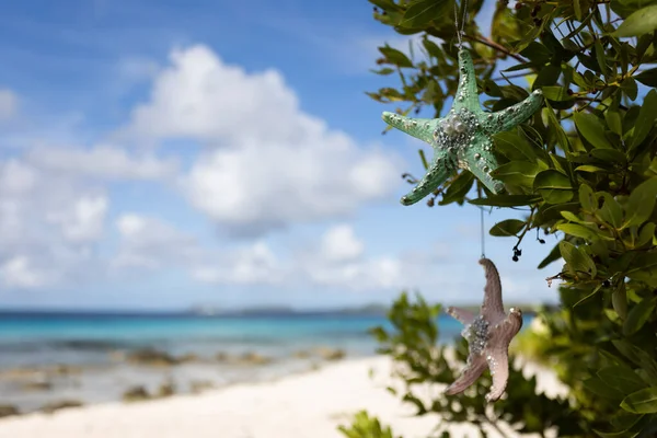 Zielony krzak na plaży ozdobiony dekoracyjnymi wielobarwnymi rozgwiazdy. Skupienie selektywne. — Zdjęcie stockowe