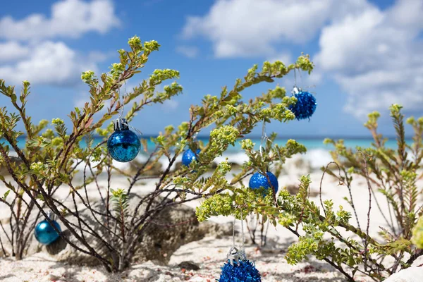 Arbre de Noël sur la plage avec de l'eau turquoise. Vacances de Noël à l'île des Caraïbes. — Photo