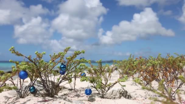 Tráva na pláži je zdobena vánočními míčky. Vánoční prázdniny. — Stock video