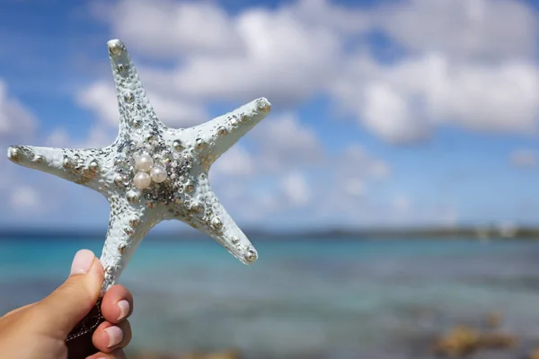 Жіноча рука тримає декоративні морські зірки на тлі морського пейзажу . — стокове фото