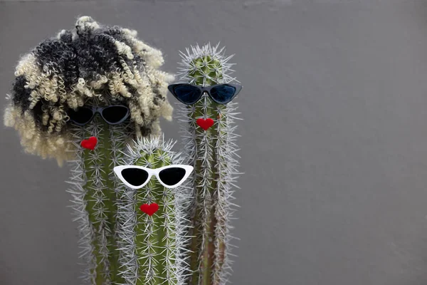 Kakteen mit Perücke, Sonnenbrille und roten Lippen. — Stockfoto