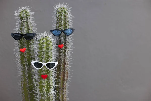 Sranda a chlad tři kaktusy se slunečními brýlemi a červenými rty. — Stock fotografie