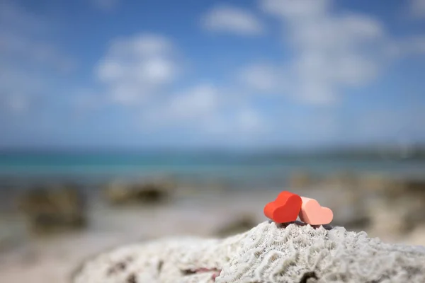 两颗心在死珊瑚上，蓝色的大海在身后。有选择的重点. — 图库照片