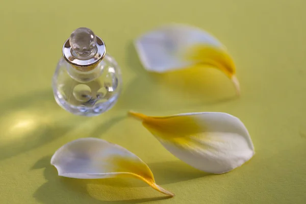 꽃잎이 달린 화장품 액체가 담긴 작은 병. 선택적 초점. — 스톡 사진