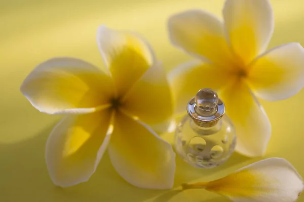 Bir şişe parfüm ya da tropik çiçekler arasında gerekli yağ. Seçici odak.