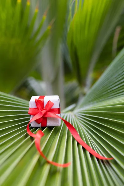 Palmiye yaprağına kırmızı kurdele bağlanmış küçük bir hediye kutusu.. — Stok fotoğraf