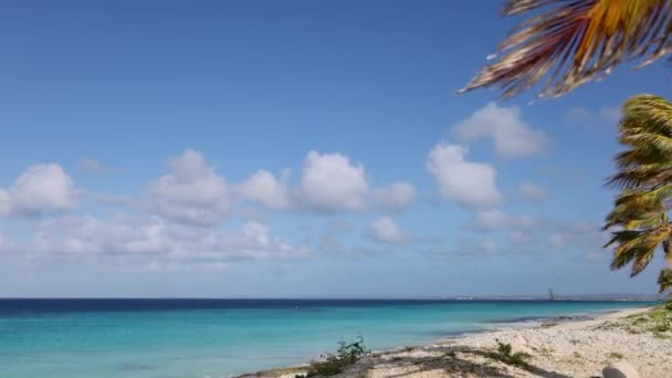 Playa de coral con agua azul. Paisaje marino. — Vídeo de stock