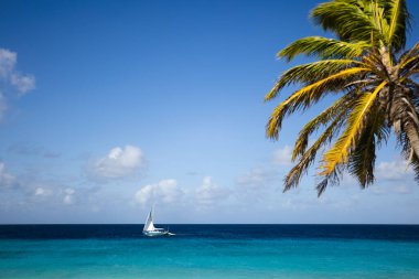 Yelkenli turkuaz denizde yelken açar. Yaz tatili.