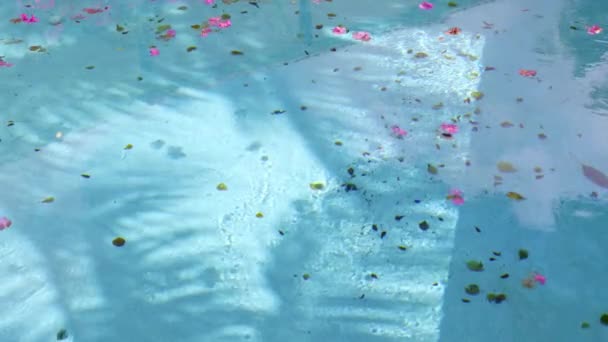 Vuil water in het zwembad. Zwembad met reflectie van palmbomen op het oppervlak van het blauwe water. — Stockvideo