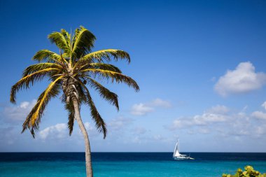 Turkuaz denizde küçük yelkenli yelkenli. Yaz tatili.