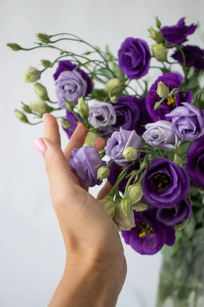 Womans hand touches purple flowers. Bouquet of flowers closeup. — Stock Photo, Image