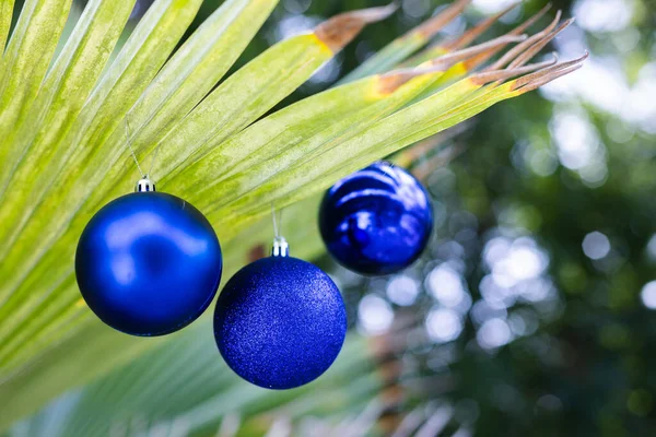 Três bolas de Natal azuis em uma folha de palma. — Fotografia de Stock