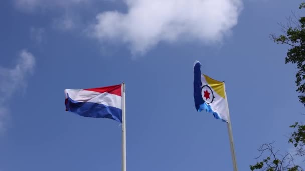 Flag of Bonaire and Netherlands flying in the wind on the blue sky background. — Stock Video