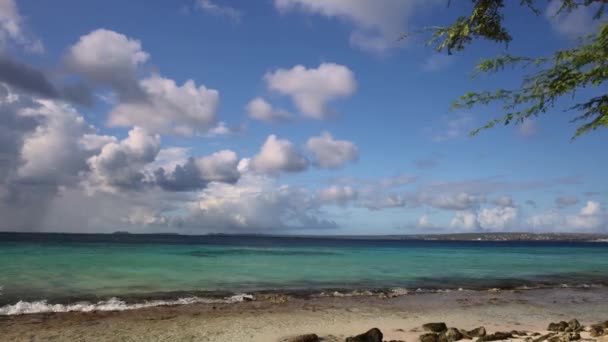 Verlaten strand met turquoise kleur zee. Caribisch eiland. — Stockvideo