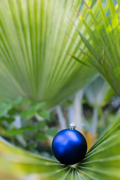 Boule bleue de Noël sur une feuille de palmier. Noël sous les tropiques. — Photo