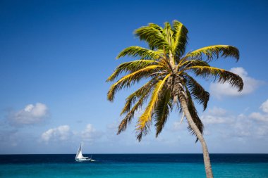 Turkuaz denizde küçük yelkenli yelkenli. Yaz tatili.