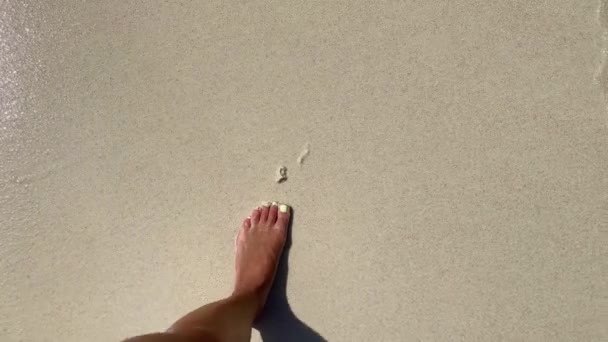 Slow motion of womans feet walking on the sand and water. — Stock Video