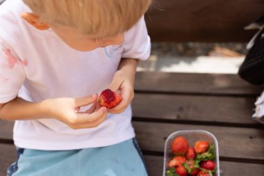 Parktaki bankta çilek yiyen küçük bir çocuk. Beyaz tişört böğürtlenlerle dolu..
