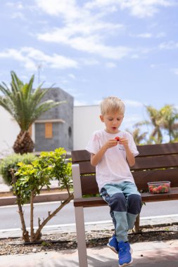 Parktaki bankta çilek yiyen küçük çocuk.. 