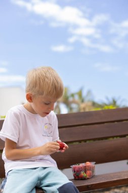 Bankta çilek yiyen küçük sarışın çocuk.. 