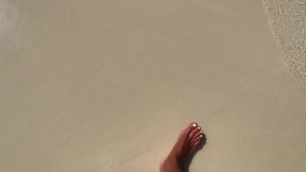 Медленное движение женских ног, ходящих по песку и воде. — стоковое видео