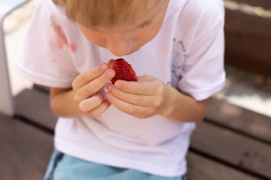 Parktaki bankta çilek yiyen küçük bir çocuk. Beyaz tişört böğürtlenlerle dolu..