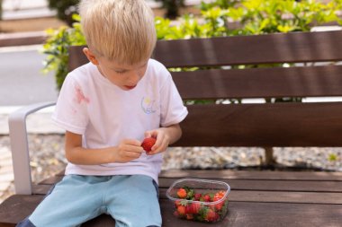 Parktaki bankta çilek yiyen küçük bir çocuk. Beyaz tişört böğürtlenlerle dolu..
