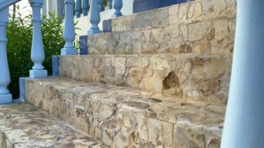 Köpek evin verandasına doğru merdivenlerden çıkar. Çoban köpeği eve koşuyor..