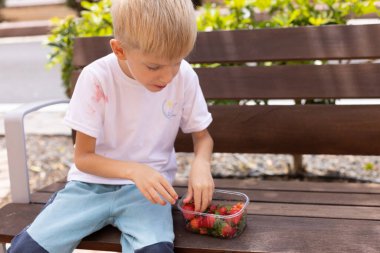 Parktaki bankta çilek yiyen küçük bir çocuk. Beyaz tişört böğürtlenlerle dolu..