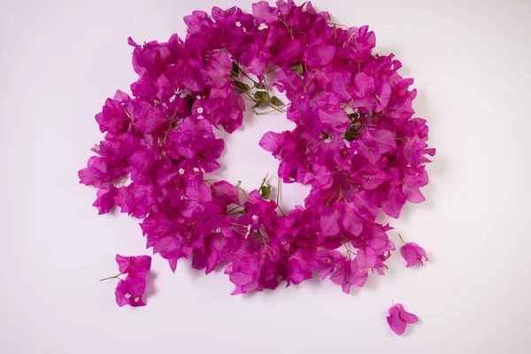 Circle from fresh purple flowers on a white background. — Fotografia de Stock