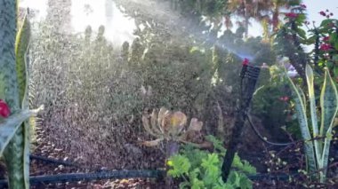 Çim sulama sistemi, çimenleri sulama fıskiyesi..